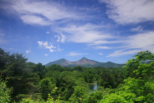 大人の休日プラン