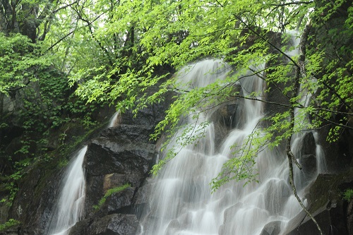 2人で100歳プラン