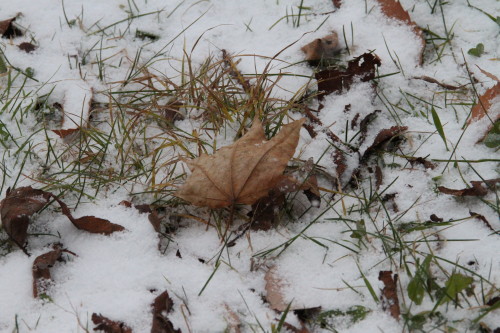 裏磐梯風景写真　　　【雪が降ってきた、ほんの少しだけど・・】